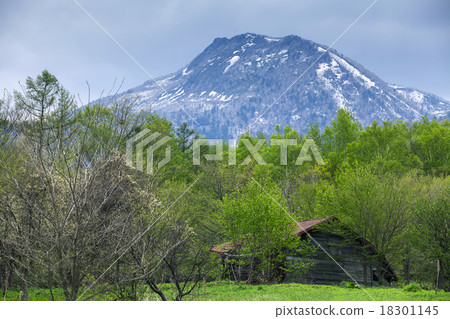 typical  japaness house 18301145