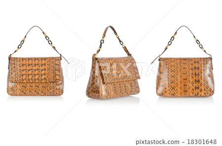 Woman bag isolated on the white background Woman bag isolated on the white background 18301648