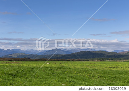 green field green field 18302019