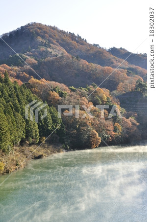 秋季葉子和河早晨湖 秋季葉子和河早晨湖 18302037