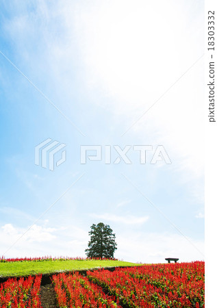 Sky and red hills and a tree 18303332