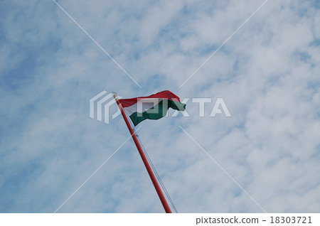 Hungarian flag 18303721