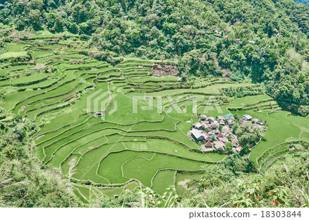 rice paddy terrace fields Philippines rice paddy terrace fields Philippines 18303844