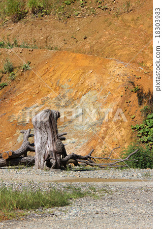 Stump 3 Stump 3 18303983