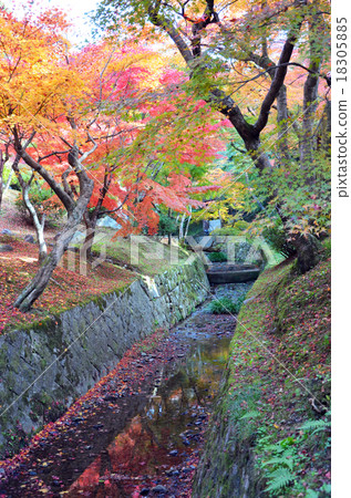 Autumn leaves of Tofukuji Temple in Kyoto Autumn leaves of Tofukuji Temple in Kyoto 18305885