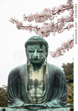 The Great Daibutsu, Buddha of Kamakura  18306363