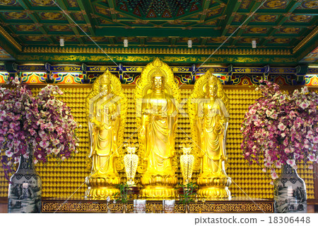 Golden buddha statue in Chinese temple in Thailand Golden buddha statue in Chinese temple in Thailand 18306448