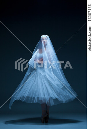 Portrait of the ballerina on blue background Portrait of the ballerina on blue background 18307188