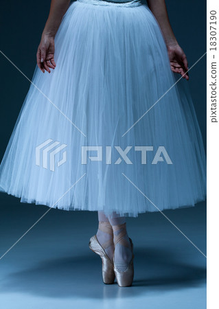Portrait of the ballerina on blue background Portrait of the ballerina on blue background 18307190