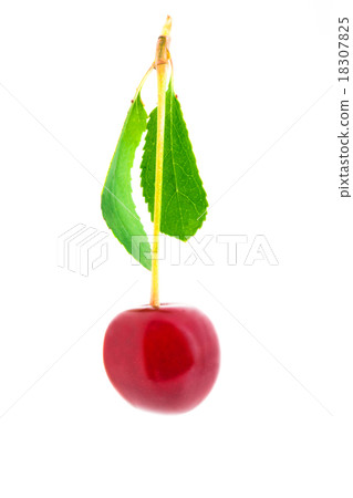 red cherry  18307825
