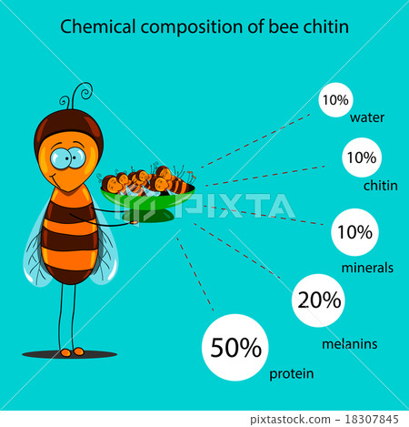 chemical composition of bee chitin chemical composition of bee chitin 18307845