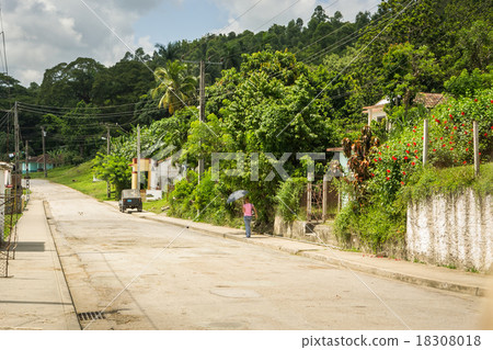 Girl walking in the jungle Girl walking in the jungle 18308018