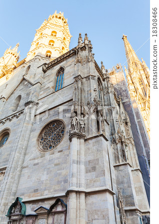 Stephansdom (St. Stephen cathedral) in Vienna 18308466