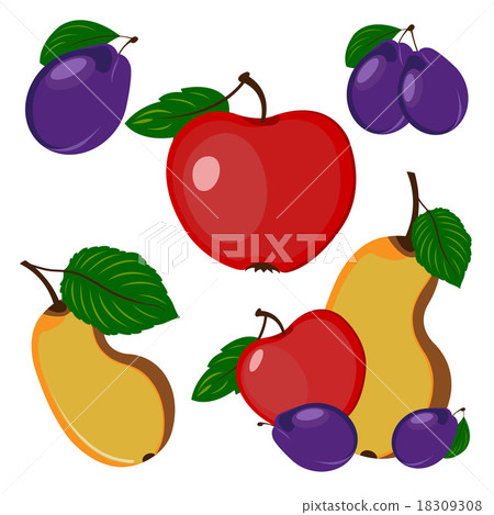 Fruits Fruits 18309308