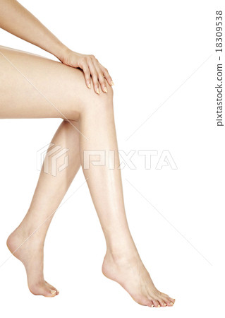 Foot Body Parts Legs Foot Body Parts Legs 18309538