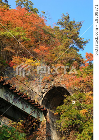 Azuma Valley Tarurazawa tunnel autumn leaves 18309871