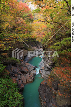 Azuma谷秋葉 18309875