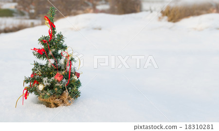 Snow Covered Christmas Tree 18310281