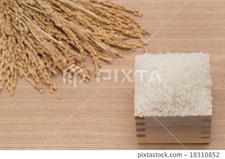 白米飯和穗飯 18310852