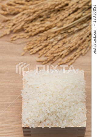 白米飯和穗飯 18310853