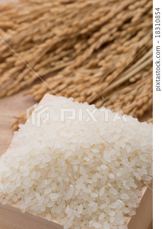 白米飯和穗飯 18310854