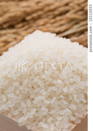 白米飯和穗飯 18310855