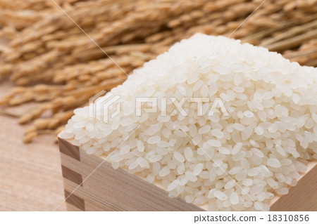 白米飯和穗飯 18310856