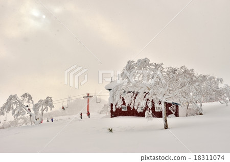 Niseko Midwinter Grand Hirafu ski resort Niseko Midwinter Grand Hirafu ski resort 18311074