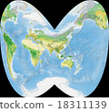 世界植被地圖 18311139