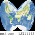 世界植被地圖 18311142