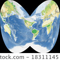 世界植被地圖 18311145