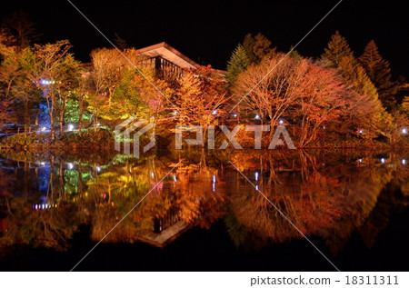Chosuyama Autumn Leaves Series ~ Light Up Part 1 18311311