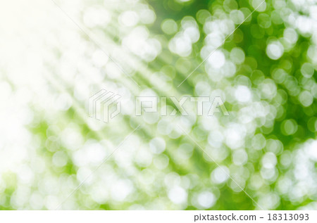 Sunny abstract green nature background. Sunny abstract green nature background. 18313093