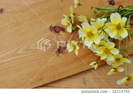 冬季宇宙 18314793