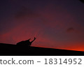 Twilight beetle 18314952