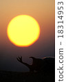 Sunset and beetle insect 18314953