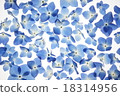 Hydrangea pattern 18314956