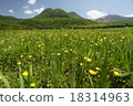 Tadahara moorland where Umanoshida blooms 18314963
