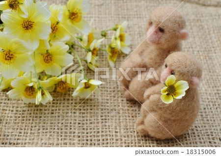 It is winter cosmos It is winter cosmos 18315006