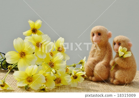 It is winter cosmos It is winter cosmos 18315009