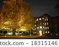 LIGHT UP LARGE 18315146