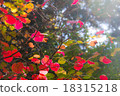 The arrival of autumn 18315218