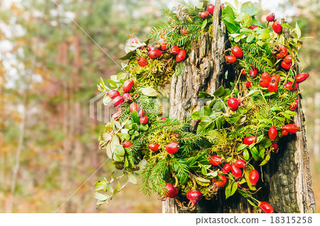 wreath of wild rose and tree branches 18315258