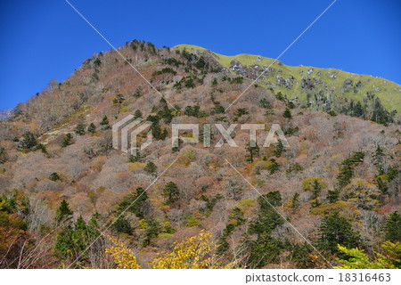 Girou-kyu · Autumn (Jiro Tokushima prefecture) Girou-kyu · Autumn (Jiro Tokushima prefecture) 18316463