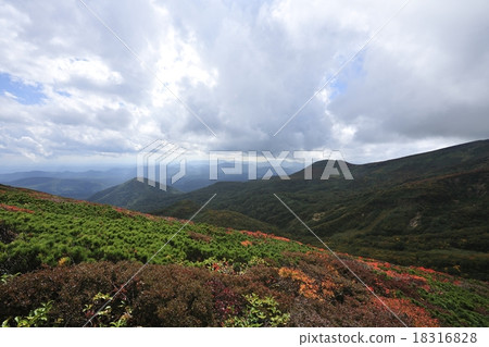 Kurikoma mountain autumn leaves carpet 18316828