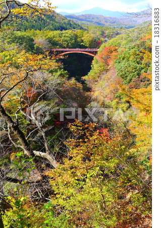 Snow Cree Valley ~ 2015 Fall Snow Bridge Bridge 18316883