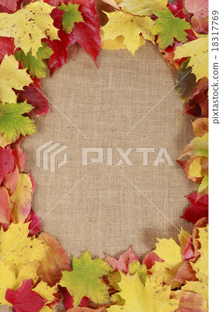 Frame of autumn leaves Frame of autumn leaves 18317769