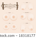 乳房形狀圖表 18318177