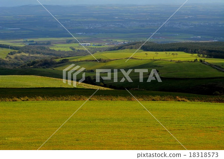 奈泰高原（73） 18318573