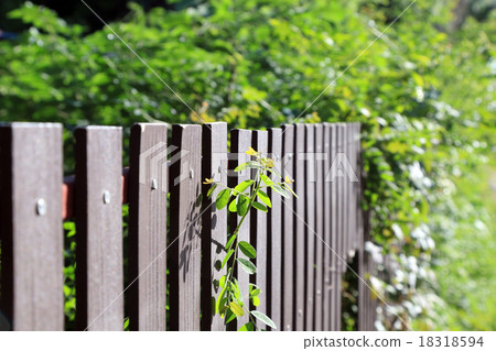 Wooden fence with bush background in morning Wooden fence with bush background in morning 18318594